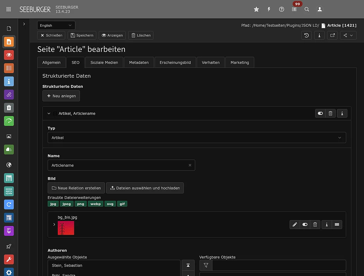 Beispiel Integration von individuellen Schema Daten (JSON LD) für Redakteure